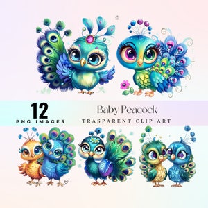 Image clipart drôle de bébé paon, illustration aquarelle de plumage bleu vert PNG, art graphique de petit paon dessin animé excentrique 300 DPI