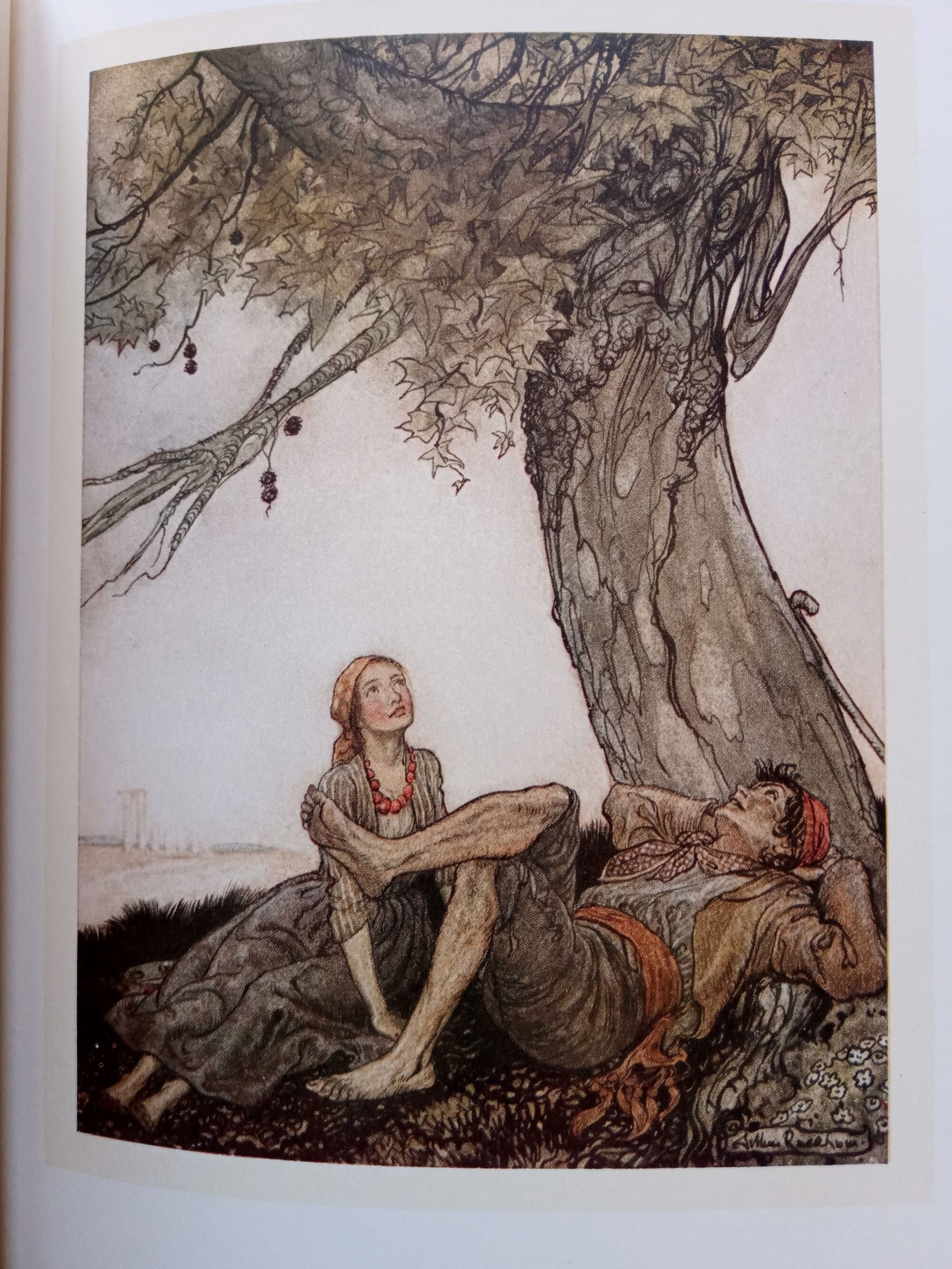 Arthur Rackham Aesop's Fables STUNNING Colour - Etsy