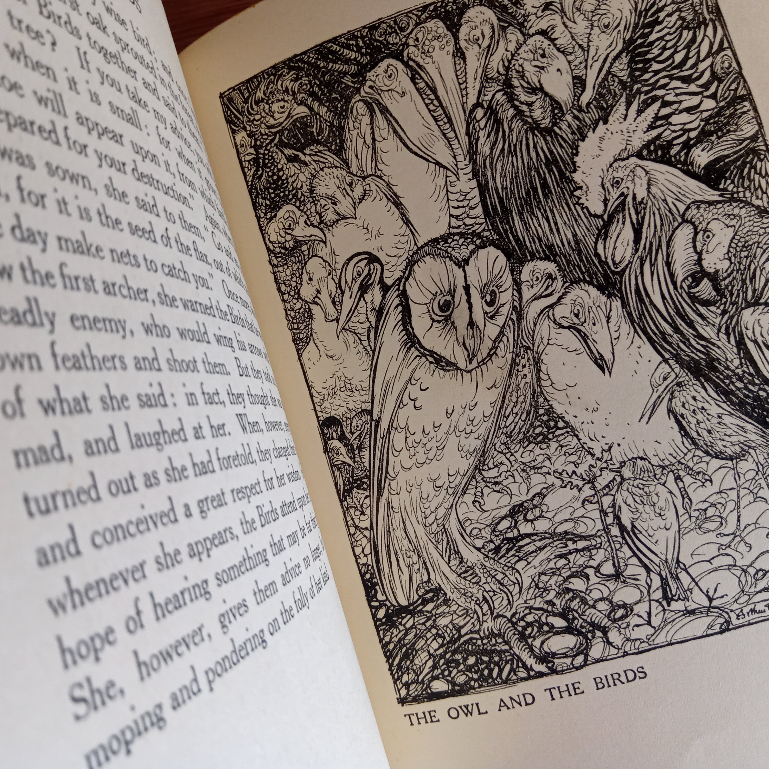 Arthur Rackham Aesop's Fables STUNNING Colour Illustrations Vintage ...