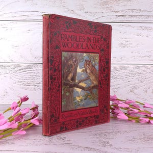 Könnte beinhalten: Ein Vintage-Buch mit dem Titel "Rambles in the Woodlands" mit rotem Einband und floralen Mustern. Das Cover zeigt zwei Eulen auf einem Ast. Das Buch gehört zur Reihe "Rambler Nature Books".