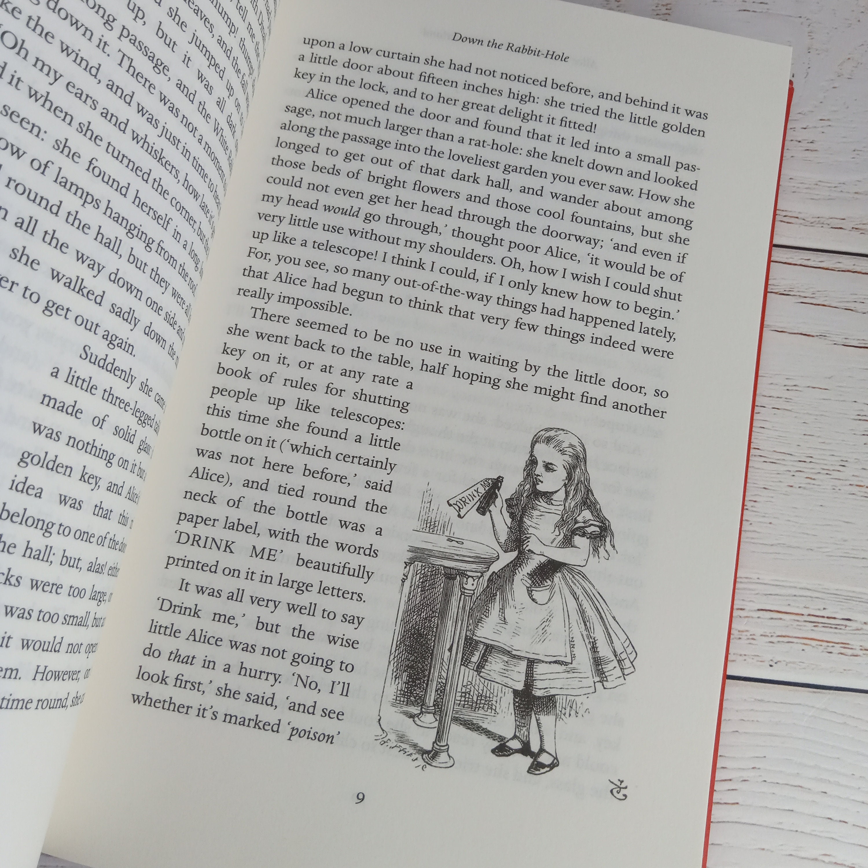 Louis Carolページ Lewis Carroll / Alice's Adventures in Wonderland 1911 Ninety