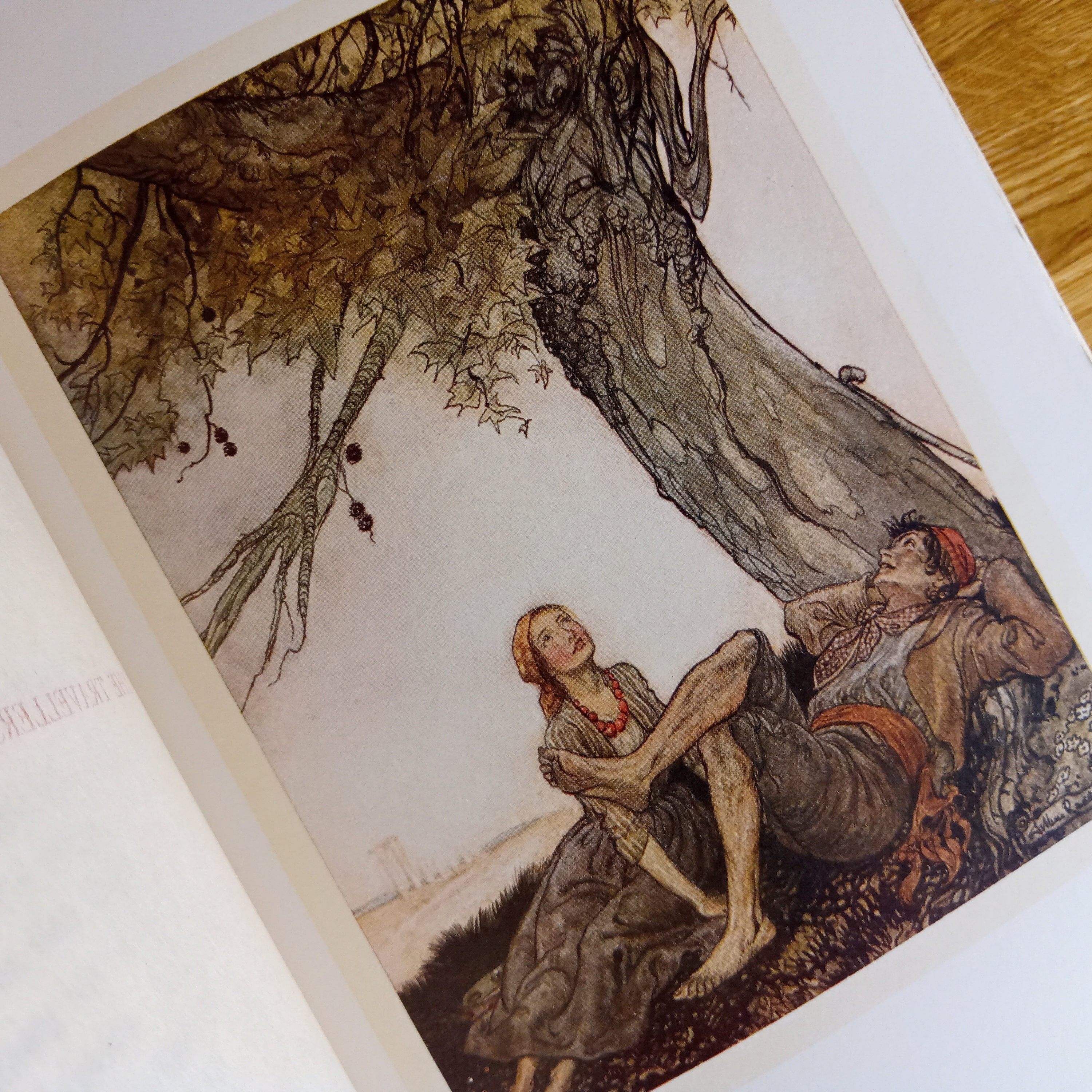 Arthur Rackham Aesop's Fables STUNNING Colour Illustrations Vintage ...