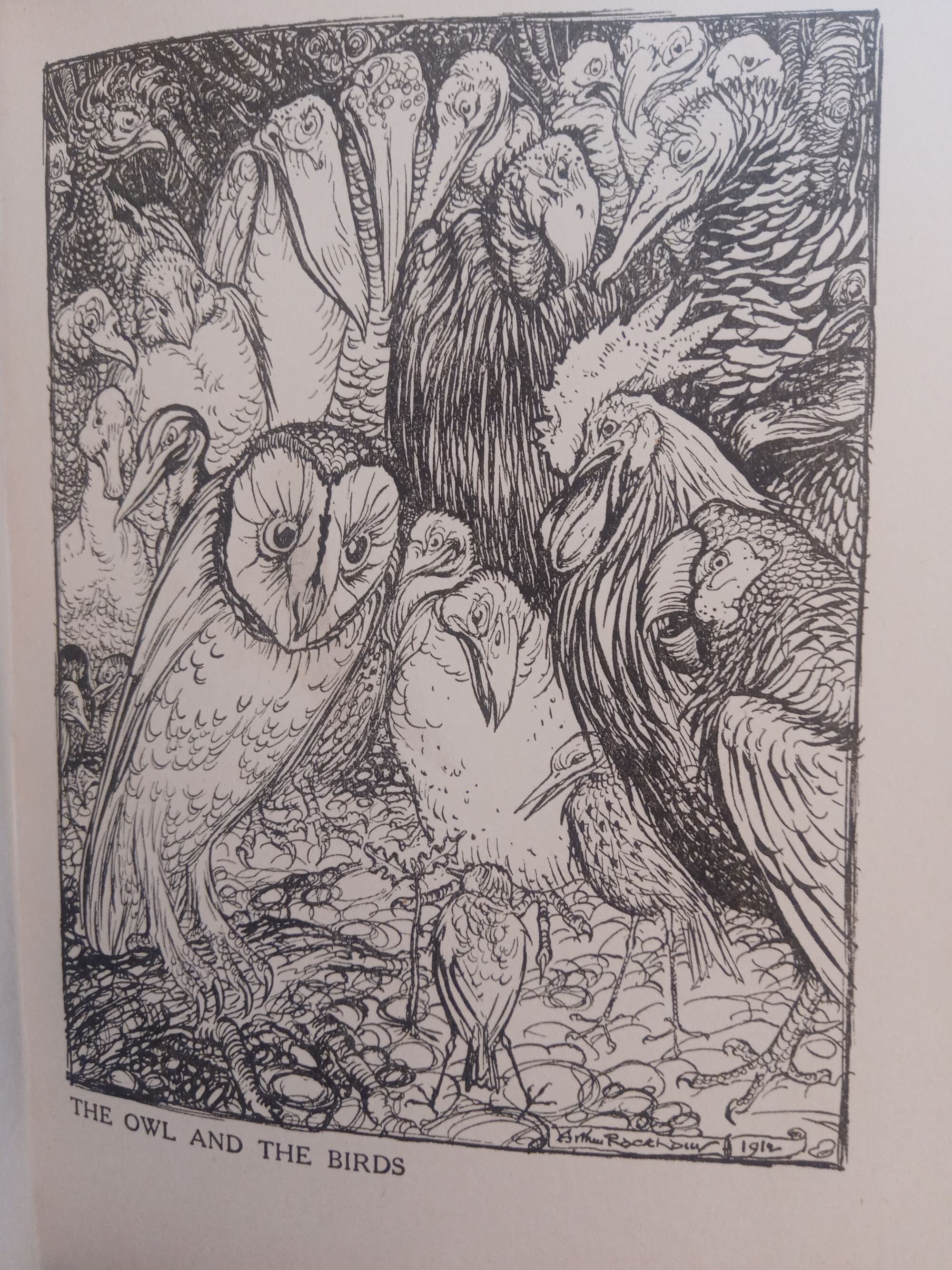 Arthur Rackham Aesop's Fables STUNNING Colour - Etsy