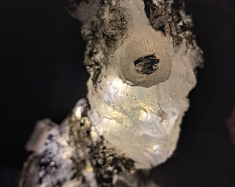 starwolf, border collie lamp, gift, decoration,