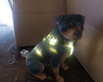 starwolf, light, rottweiler