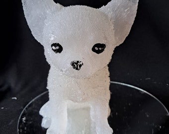 starwolf, image chihuahua white, gift, decoration