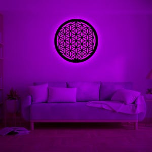 Flower of Life RGB LED Wall Art with Remote Control-Light Up Meditation Spaces Wall Led Sign, Flower of Life Wall Decor-Birthday Xmas Gifts