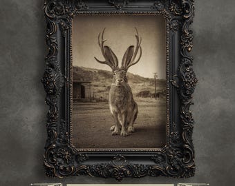 Vintage Jackalope Art Print – American Folklore Portrait for Rustic Cabin and Western Wall Décor