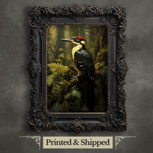 Stampa artistica da parete Picchio, opera d'arte Cottagecore scuro, stampa Academia verde vintage, stampa di animali del bosco, stampa di animali selvatici, decorazione del bosco malinconico