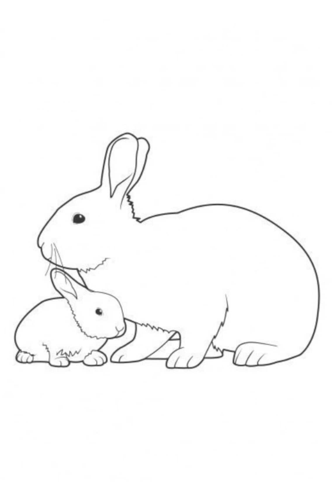Digital Print of Cute Rabbit Sketch , Bohemia Design Wall Art, Home ...