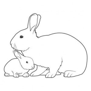 Digital Print of Cute Rabbit Sketch , Bohemia Design Wall Art, Home ...