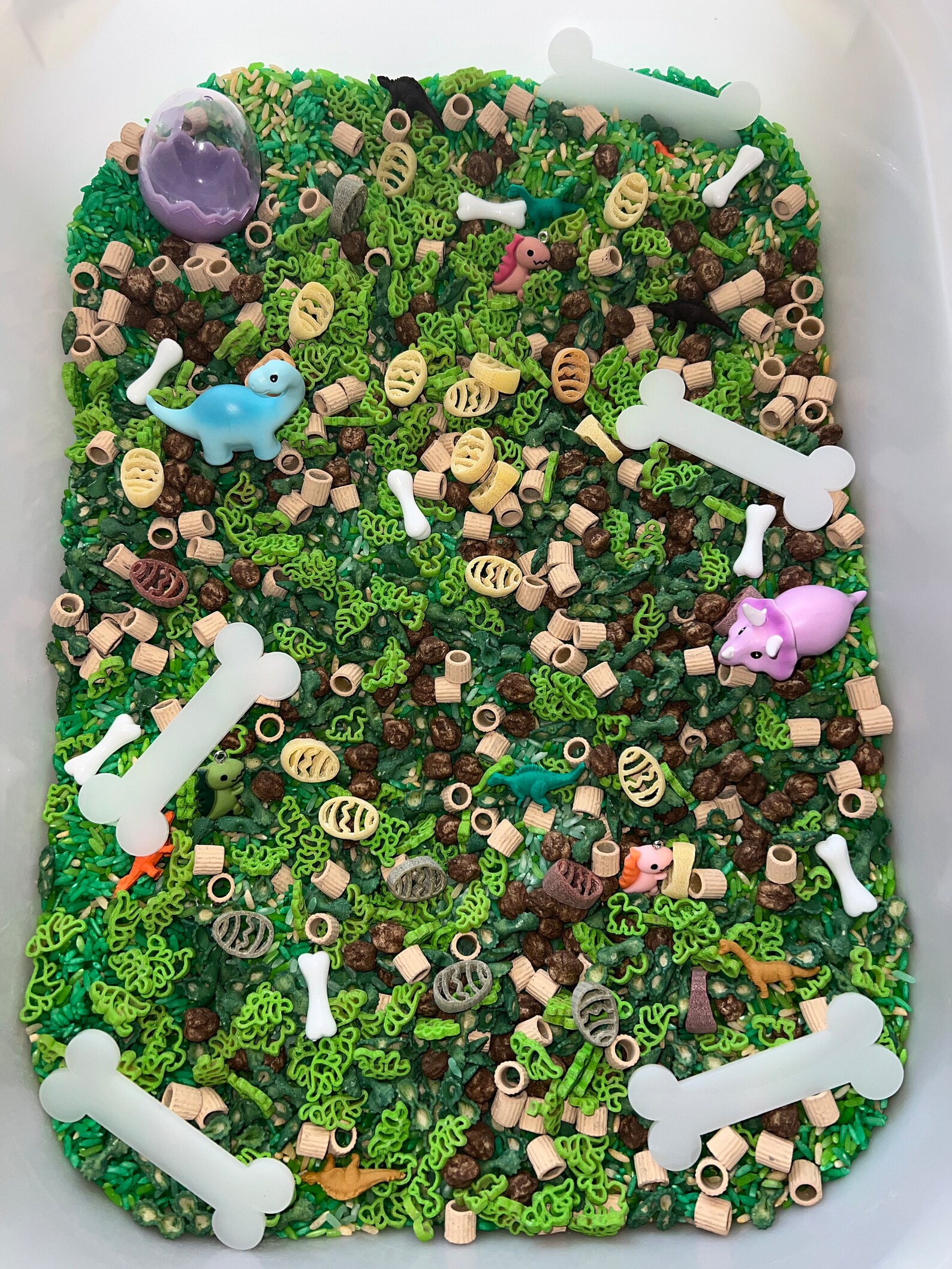Dinosaur Sensory Rice Filler - Pasta Sensory Filler - Dinosaur Sensory ...
