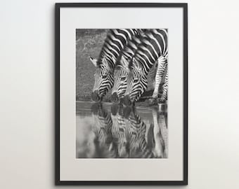 Zuid-Afrika, Kruger National Park, zebra's, instant download, zwart-witfotografie, kunst aan de muur, reisposter, safari Art Print, dier