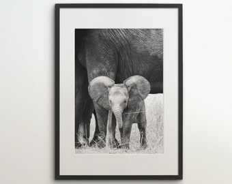 Peut inclure: Une photographie en noir et blanc d'un éléphant adulte et d'un éléphant bébé debout côte à côte dans un champ herbeux.