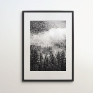 Foggy Forest, Montana, United States, Instant Download, Black White Photography, Wall Art, Travel Poster, USA Art Print, Misty