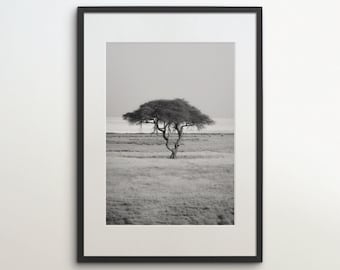 Op de afbeelding: Een zwart-witfoto van een enkele boom in een veld. De boom heeft een brede, uitgestrekte kroon en is gesilhouetteerd tegen een bewolkte lucht.