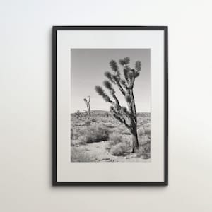Joshua Tree Nationalpark, Kalifornien, USA, Sofort Download, Schwarz Weiß Fotografie, Reise Poster, USA Art Print, Wüste