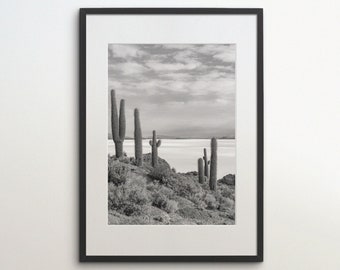 Uyuni Salt Flat, Bolivia, Andes, Instant Download, Black White Photography, Wall Art, Travel Poster, South America Art Print, Cactus