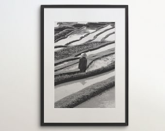 Bali Rice Terrace, Indonesia, Tabanan, Instant Download, Black White Photography, Wall Art, Travel Poster, Bali Art Print