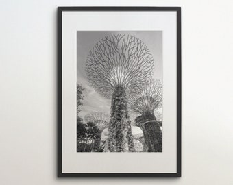 Gardens by the Bay, Singapore, Park, Instant Download, Black White Photography, Wall Art, Travel Poster, Singapore City Art Print