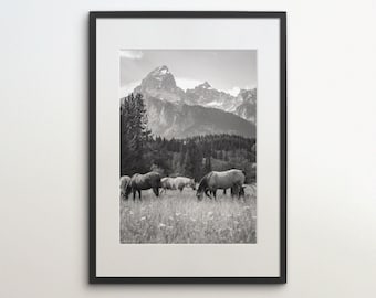 Teton Mountain Range, Wyoming, Wild Horses, United States, Instant Download, Black White Photography, USA Art Print, Jenny Lake