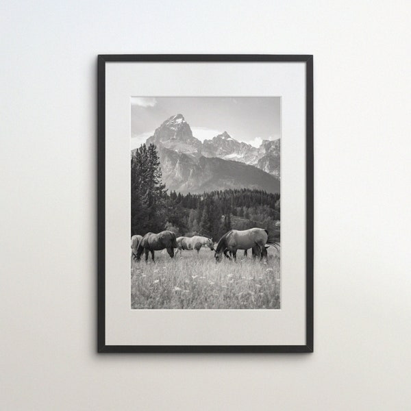 Teton Mountain Range, Wyoming, Wild Horses, United States, Instant Download, Black White Photography, USA Art Print, Jenny Lake