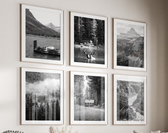 May include: A living room interior with a light gray sectional sofa, a round coffee table, and a white ottoman. The room is decorated with black and white framed photographs of nature scenes, a large potted plant, and a throw blanket on the sofa.