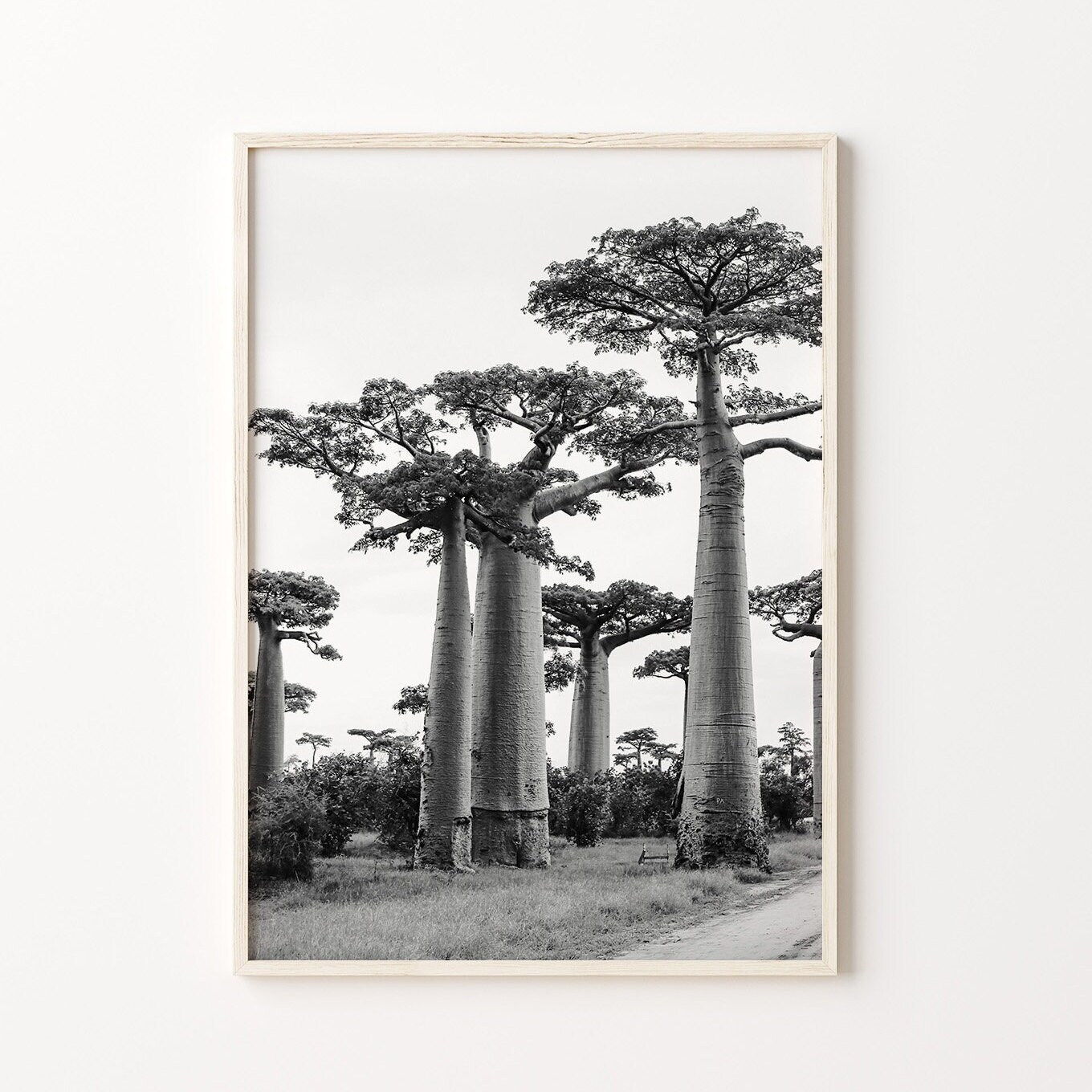 Madagascar Black & White Wall Art Set of 6, Africa Prints, Instant ...