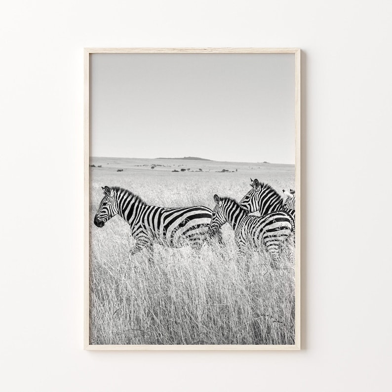 Africa Black & White Wall Art Set of 6, African Safari Prints, Instant ...