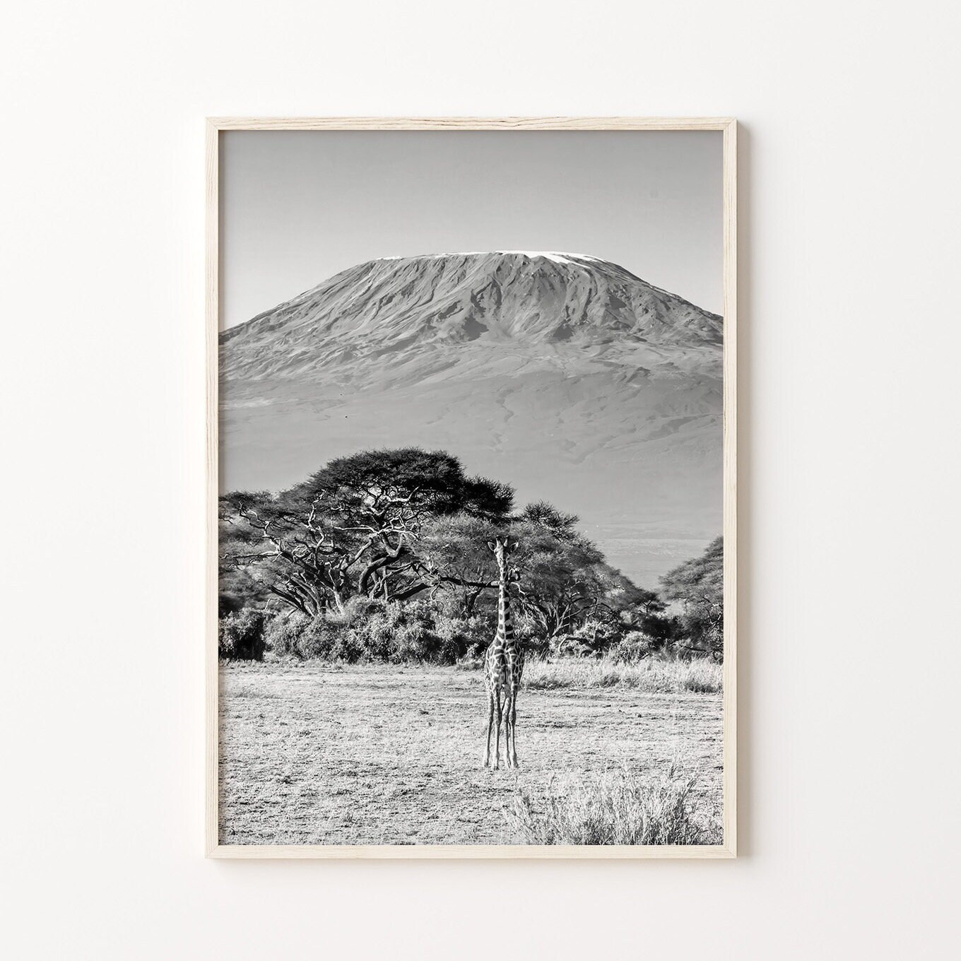 Africa Black & White Wall Art Set of 6, African Safari Prints, Instant ...