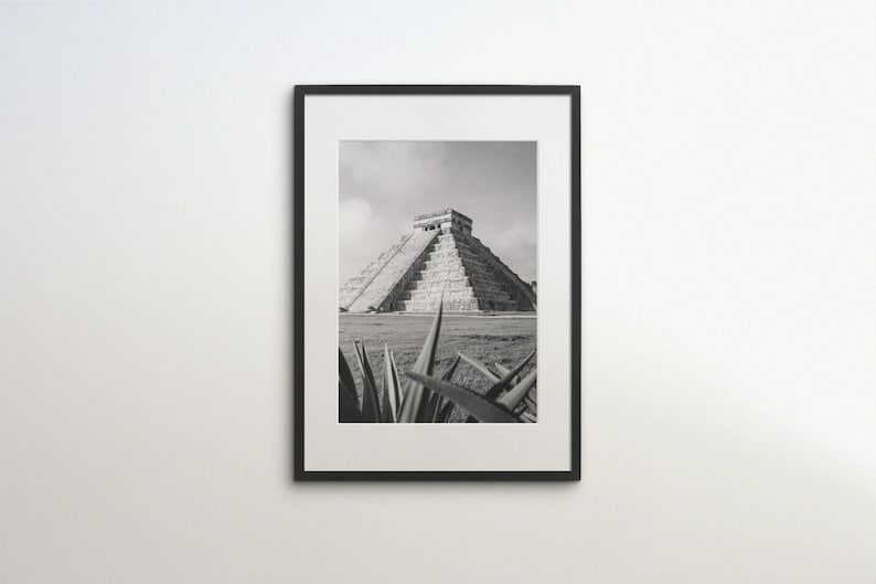 May include: Black and white photograph of a large stone pyramid with steps leading to the top. The pyramid is surrounded by grass and a few plants are in the foreground.