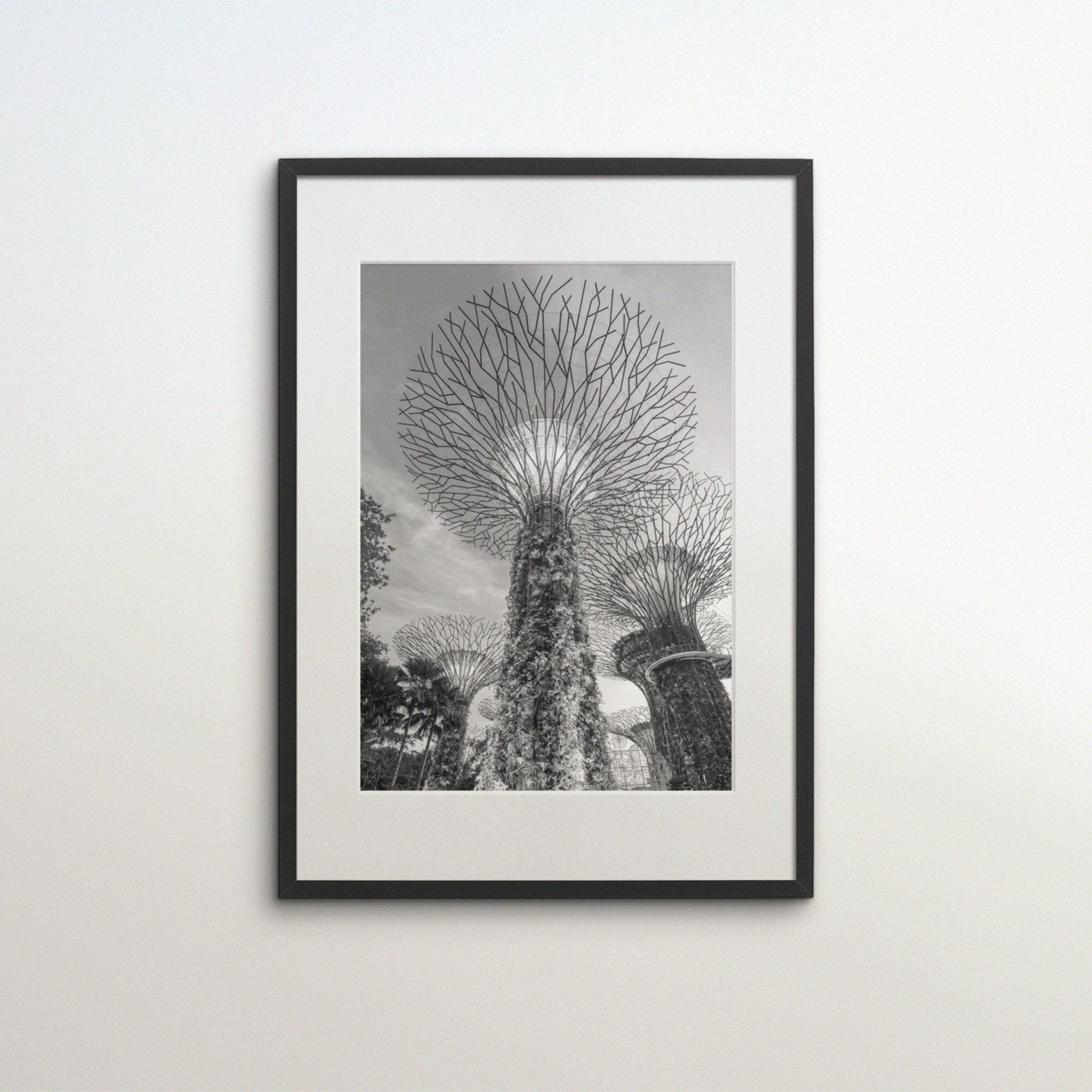 Gardens by the Bay, Singapore, Park, Instant Download, Black White Photography, Wall Art, Travel Poster, Singapore City Art Print