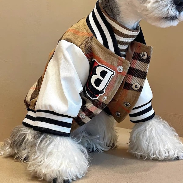 Designer Dog Clothes Etsy
