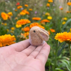Sweet Handmade Bunny | Bunny Gift | Needle felted miniature brown bunny rabbit, little beige rabbit doll, soft rabbit gift for bunny lovers