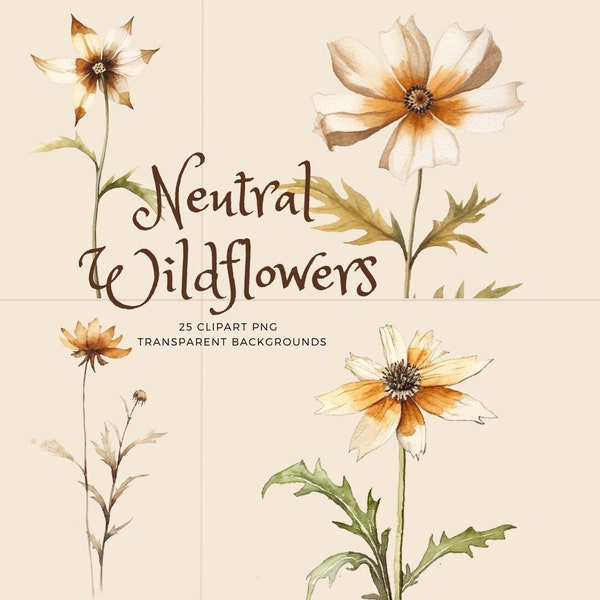 Neutral Watercolor Wildflowers Clipart 24 PNGs - Transparent Background - Commercial Use - Boho Brown Floral - 300 DPI