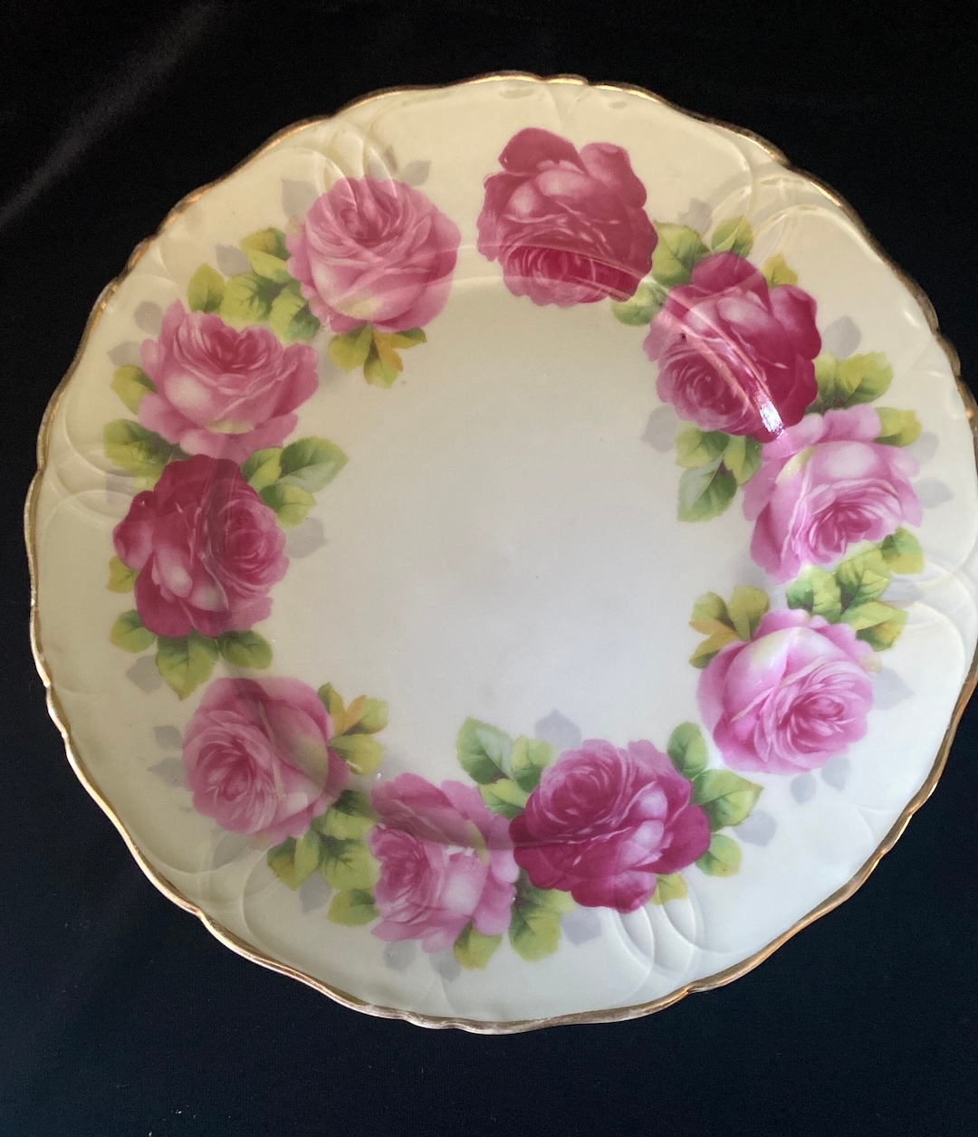 Antique Royal Rudolstadt, Beyer & Bock, Plate, Hand Painted Ring of