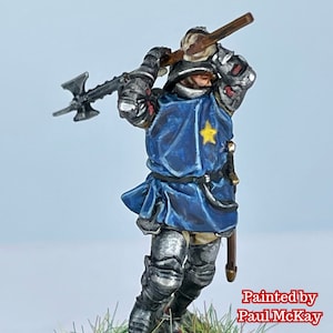 Wars of the Roses Knight Baronet with helm image 4