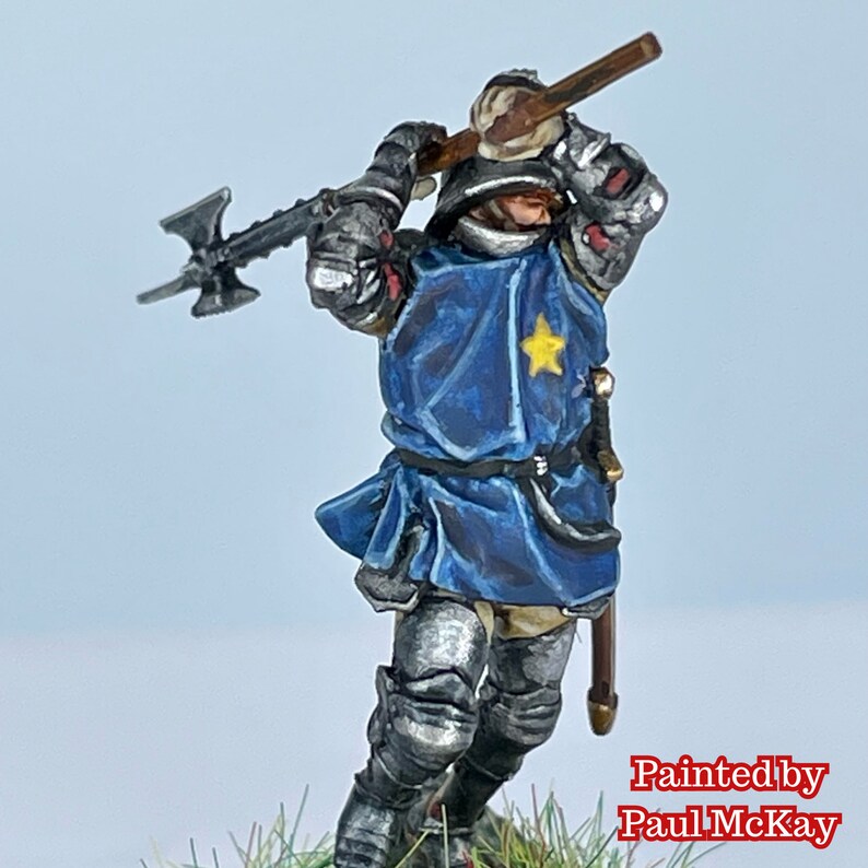 Wars of the Roses Knight Baronet with helm image 4