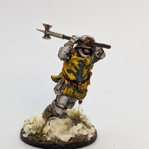 Wars of the Roses Knight Baronet with helm image 3