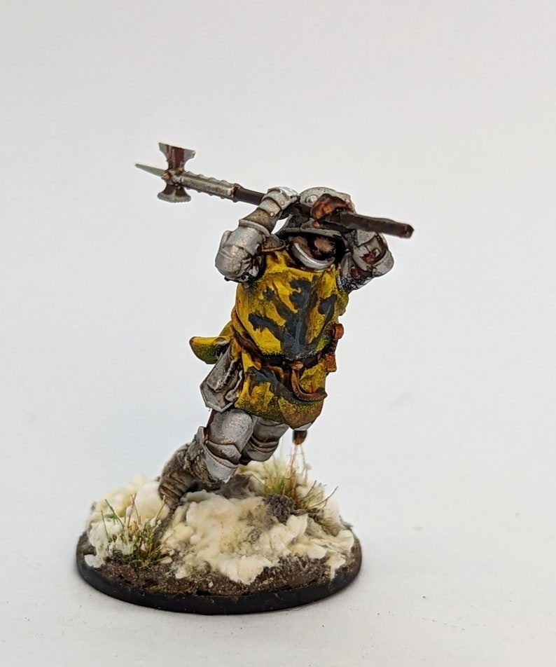 Wars of the Roses Knight Baronet with helm image 3