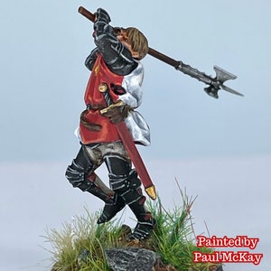 Wars of the Roses Knight Baronet with helm image 5