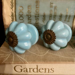 May include: Two light blue ceramic cabinet knobs with a fluted, pumpkin-like shape. Each knob features a dark bronze-colored metal center plate with a scalloped edge and a central circular detail, providing a contrast to the smooth, glossy finish.