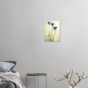 Könnte beinhalten: Leinwanddruck mit drei leuchtend blauen Kornblumen mit grünen Stielen und Knospen vor einem strukturierten, cremefarbenen Hintergrund. Das florale Kunstwerk wird an einer Wand ausgestellt und verleiht der Einrichtung einen Hauch von Natur.