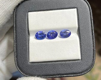 3 Pcs AAA Tanzanite Gemstone Lot: Oval Faceted Cut, 8x6 mm