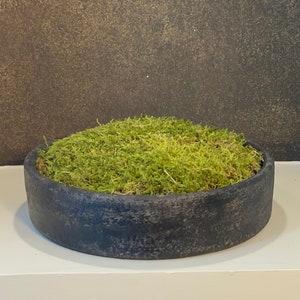SALE Zen Concrete Handmade Moss Bowl Terrarium Centerpiece  Terrarium  centerpiece, Moss centerpieces, Large bowl centerpiece