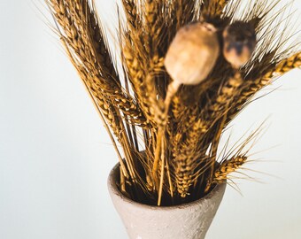 ベージュの粘土製花瓶 古びた粘土の装飾容器、ベージュの素朴な花瓶 - Etsy 日本