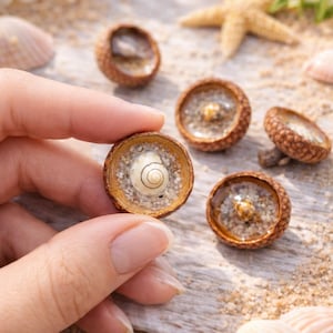 Könnte beinhalten: Nahaufnahme von mehreren Eichelhütchen-Ornamenten, die mit Sand und winzigen Muscheln gefüllt sind. Eines wird von einer Hand gehalten. Die Eichelhütchen haben eine strukturierte, braune Außenseite und eine klare Harzinnenseite.