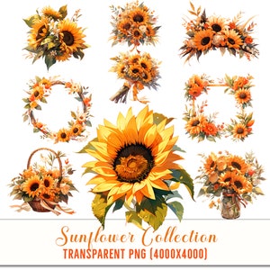 Sunflower Watercolor Clipart: Rustic Wedding Designs & Seamless Borders - Digital Illustrations for Sublimation, Sunflower Bouquet