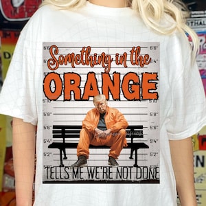 Trump Shirt 2024, Donald Trump, President, Prison felon, Halloween shirt png, Something in the Orange, Halloween PNG, Digital print, png