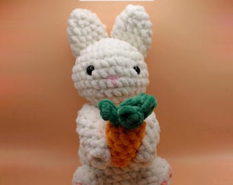 Patrón de conejito de crochet / Pascua / Para principiantes / Peluche amigurumi (Descarga PDF) / Primavera